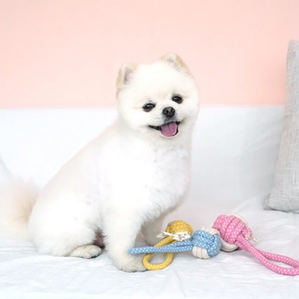 아르깡시엘,패리스독 볼핸드로프토이 S, M
