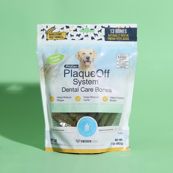 아르깡시엘,프로덴 플라그오프 덴탈 껌 민트 482g