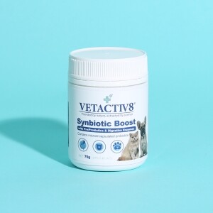 벳엑티브8 강아지 유산균 신바이오틱 부스트 70g