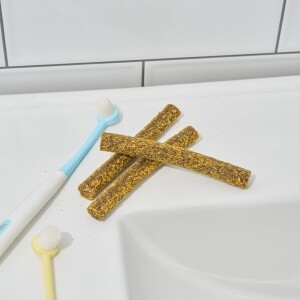 도그트릿 강아지 치석제거 껌 살몬 망고 덴탈스틱 283g